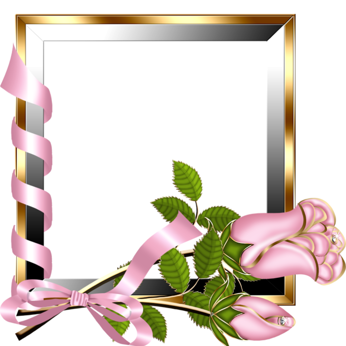 Gold and Silver Transparent Frame with Light Pink Roses Gallery